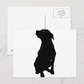 犬 ポストカード (正面/裏面)