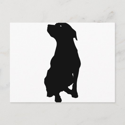 犬 ポストカード (正面)