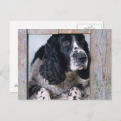 犬 ポストカード (正面/裏面)