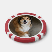犬 ポーカーチップ (シングル)