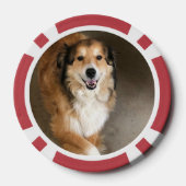 犬 ポーカーチップ (裏面)