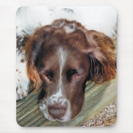 犬 マウスパッド (正面)