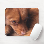 犬 マウスパッド (マウス)