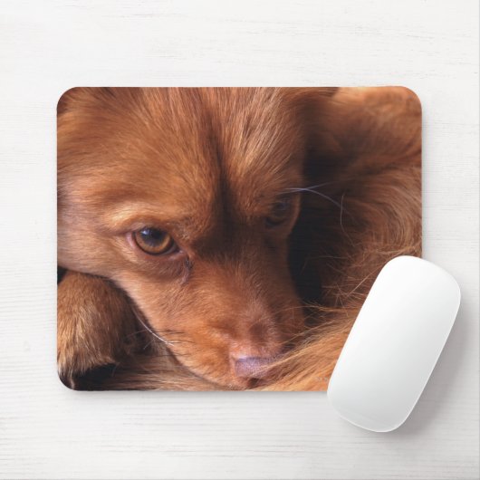 犬 マウスパッド (マウス)
