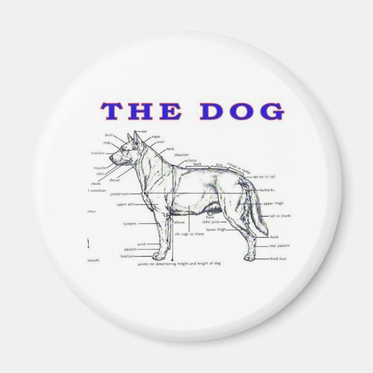 犬 マグネット (正面)