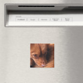 犬 マグネット (インサイチュ (食洗機))