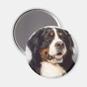 犬 マグネット (正面/裏面)