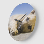 犬 ラージ壁時計 (傾斜)