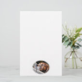 犬 便箋 (スタンド正面)