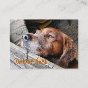 犬 名刺