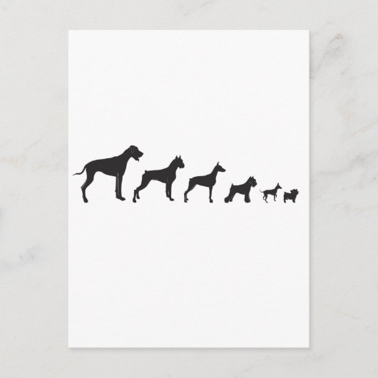 犬、大きい犬と小さい犬 ポストカード (正面)
