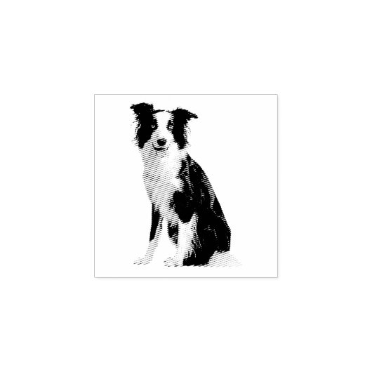 犬 子犬 ボーダーコリー ラバースタンプ (インプリント)