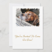 犬 招待状 (正面)