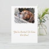 犬 招待状 (スタンド正面)