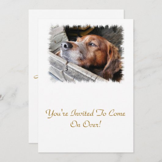 犬 招待状 (正面/裏面)