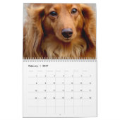 犬、犬、犬のカレンダー カレンダー (2月 2027)