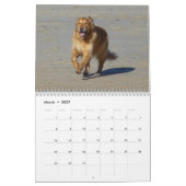 犬、犬、犬のカレンダー カレンダー (3月 2027)