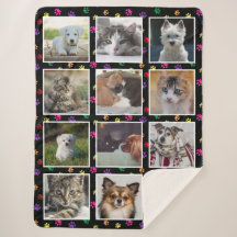 犬 猫 カラフルな足跡のフォトコラージュ