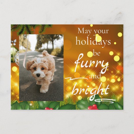 犬 猫 ペット カスタム 写真 クリスマス ポストカード 面白い (正面)