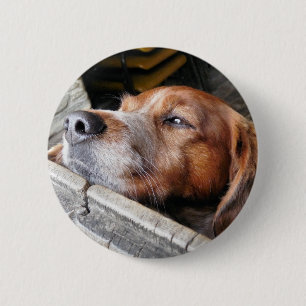 犬 缶バッジ