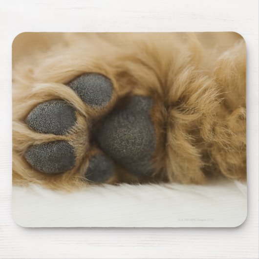 犬、脚のビュー マウスパッド (正面)