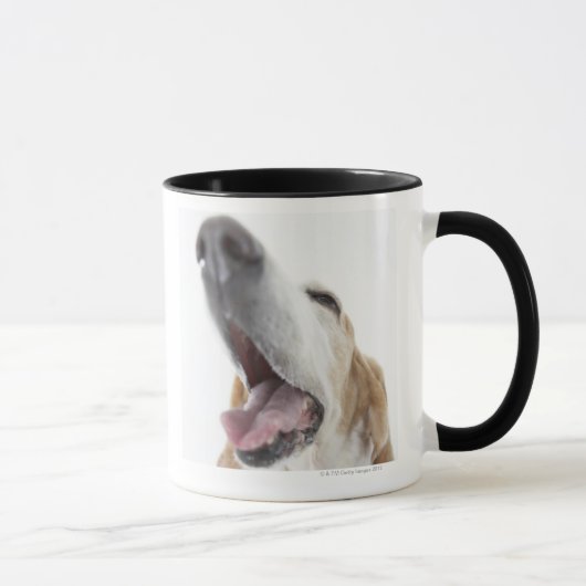 犬「sの鼻、クローズアップ マグカップ (右)