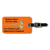 犬IDを整備して下さい