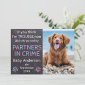 犯罪のパートナー双子ベビー家族犬の妊娠 案内状 (スタンド正面)