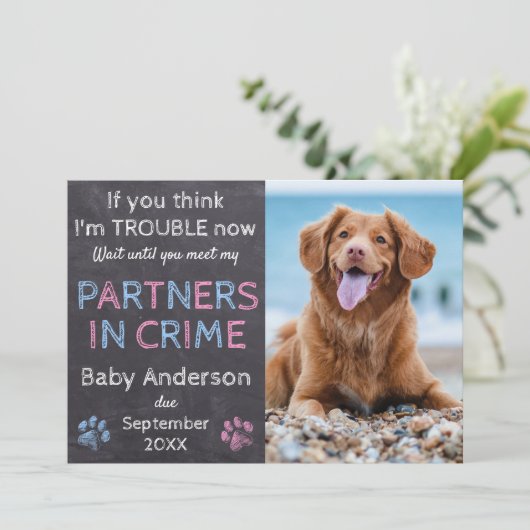 犯罪のパートナー双子ベビー家族犬の妊娠 案内状 (スタンド正面)