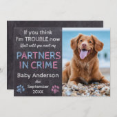 犯罪のパートナー双子ベビー家族犬の妊娠 案内状 (正面/裏面)