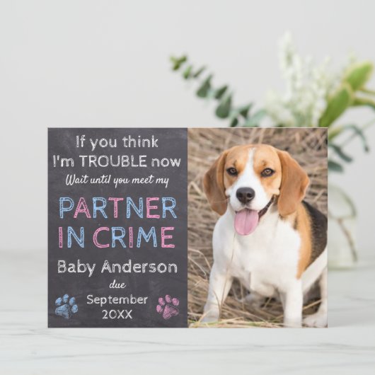 犯罪のパートナー家族の犬の妊娠の発表 案内状 (スタンド正面)