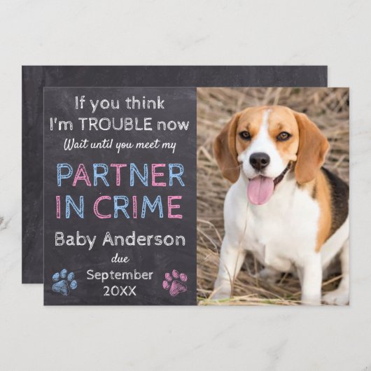 犯罪のパートナー家族の犬の妊娠の発表 案内状 (正面/裏面)