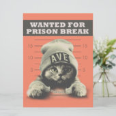 犯罪子猫 カード (スタンド正面)