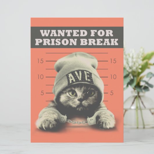 犯罪子猫 カード (スタンド正面)