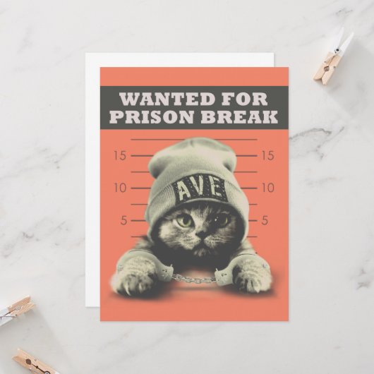 犯罪子猫 カード (正面/裏面インサイチュ)