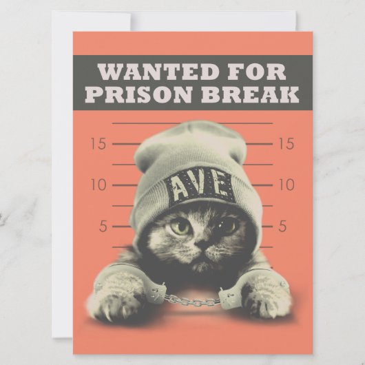 犯罪子猫 カード (正面)