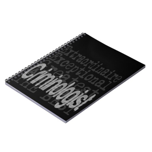 犯罪学者 ノートブック (左側)