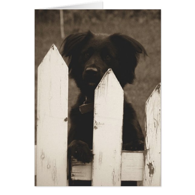 状況は？ (正面)