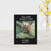 「狂った」だけで、「40」にはなれない カード (黄色い花)