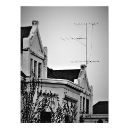 「狂人フリンジ」 フォトプリント           