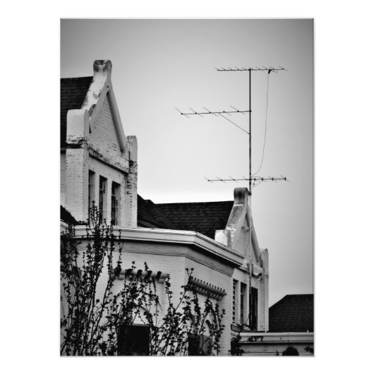 「狂人フリンジ」 フォトプリント            (正面)