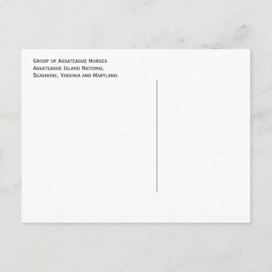 狂牛病の無人島、アサーテアウア島、ナショナルシーショア ポストカード (裏面)