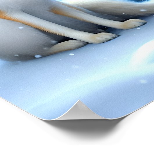 狐の狐の美しさ ポスター (角)