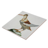 狙撃して下さい、c.1767-76 (手によって着色される版木、銅版、版画) タイル (側面)