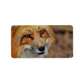 狡猾なキツネ ラベル (正面)