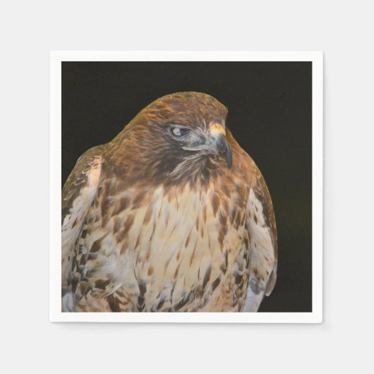 狡猾なタカ スタンダードカクテルナプキン (正面)