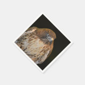 狡猾なタカ スタンダードカクテルナプキン (角)