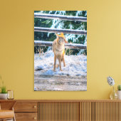 狩りの女性のコヨーテと雪の野生動物の写真アート キャンバスプリント (インサイチュ (リビング))