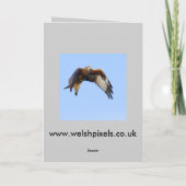 狩りのBuzzardカード シーズンカード (裏面)