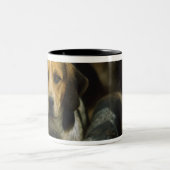 狩りのfoxhound、ゴールウェイのブレザー、アイルランド ツートーンマグカップ (中央)